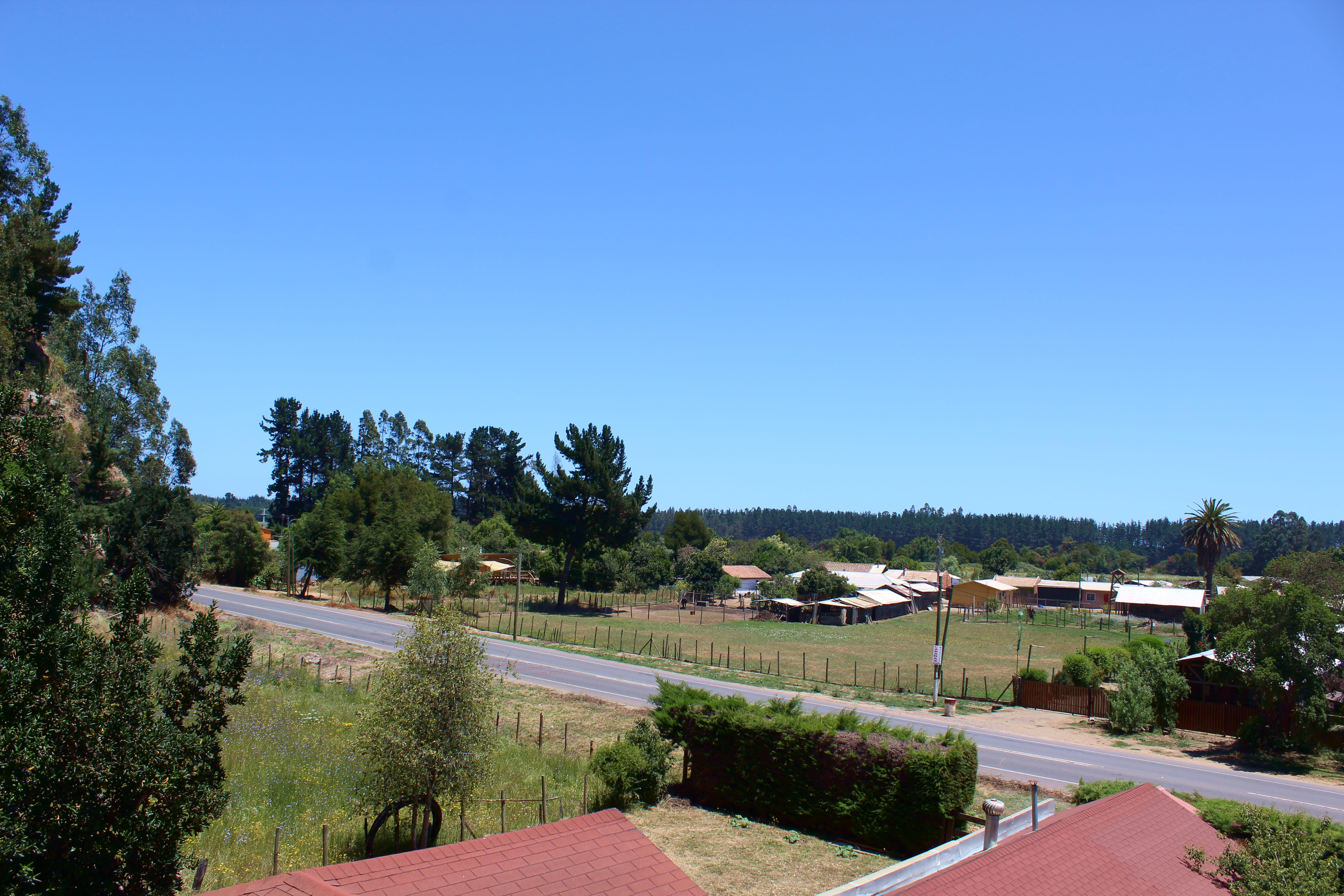 Entorno — Ecoturismo Lemunantu